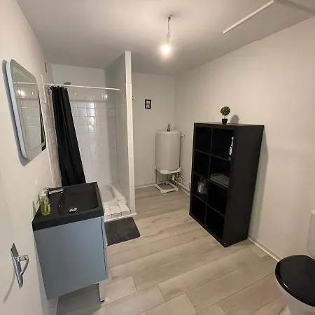 Hyper Centre Proche Toutes Commodités * Agen